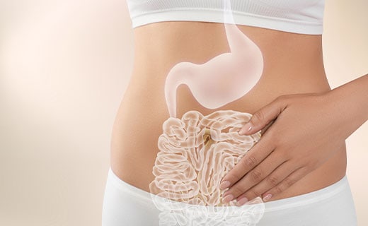 Gut Health